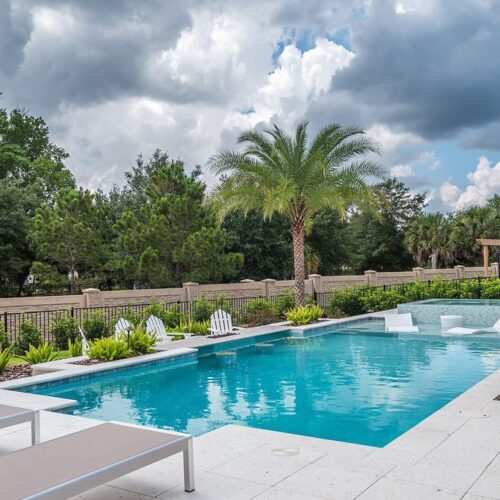 luxury pool with lounge chairs and palm trees nearby